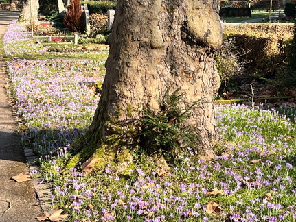 23-02-13 12-45-34 4181